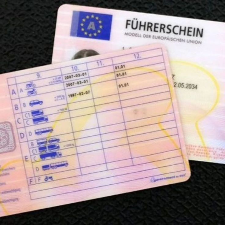 Niederländischer Führerschein - Ihr EU-Führerschein